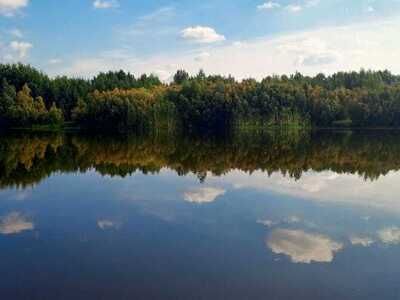 В северо-восточной части парка находится ботанический сад с ценными экземплярами растений, произрастание которых несвойственно для местного климата.
С 2024 года на территории парка, в районе объекта культурного наследия «Сайма-1», ведутся археологические раскопки. Специалисты обнаружили здесь следы древнего поселения, датируемого рубежом бронзового и раннего железного веков (VI–IV века до н. э.). 